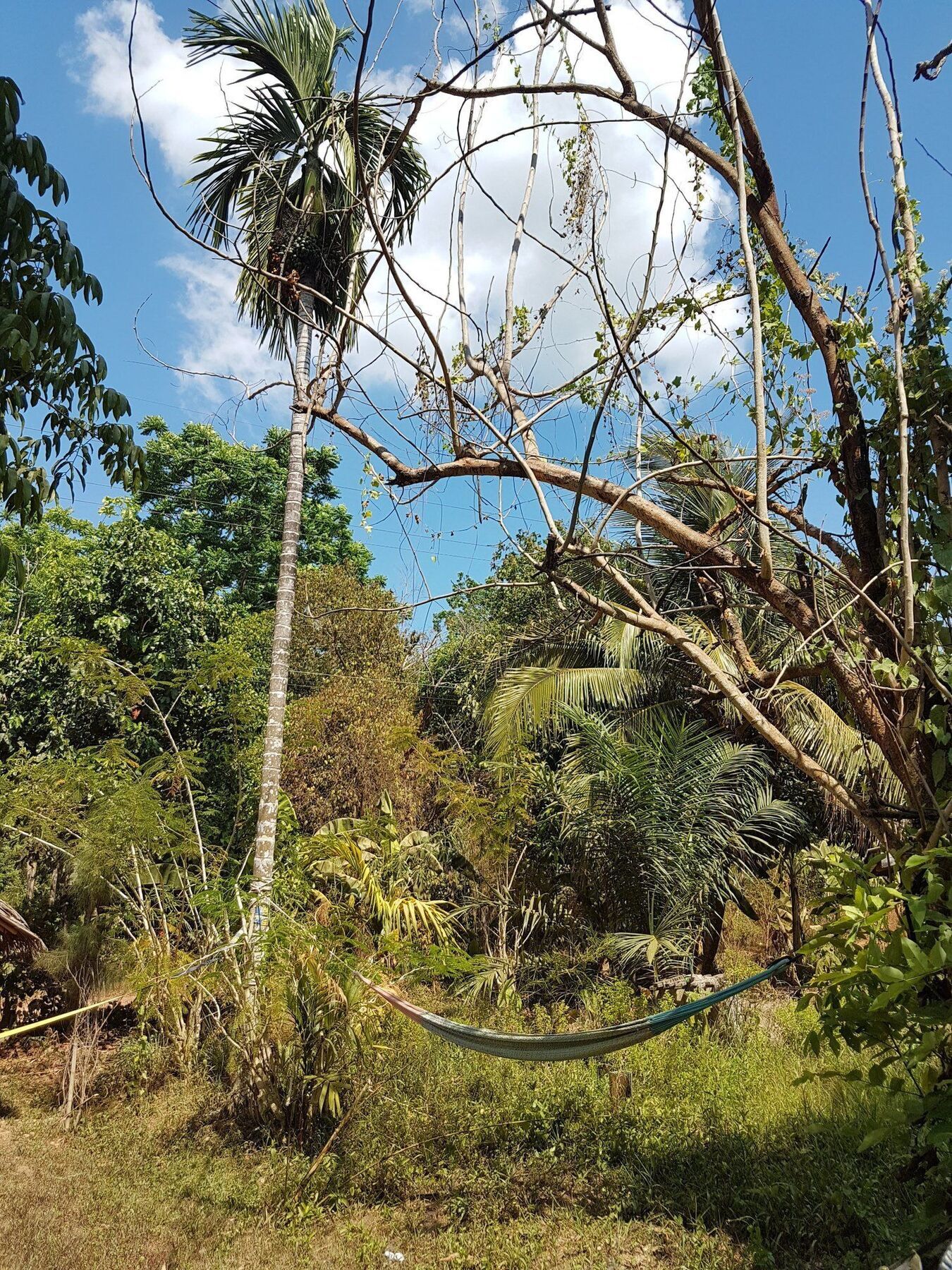Slacklines Hostel Ko Lanta Kültér fotó
